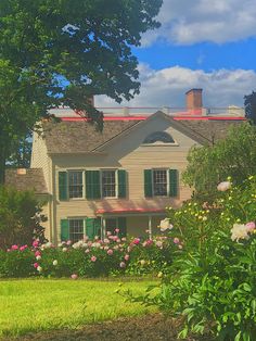 a white house with green shutters and pink flowers in the foreground on a sunny day