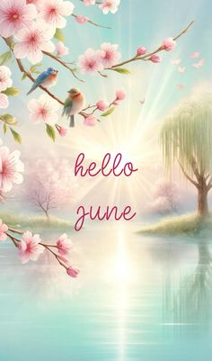 the words hello june are written in pink and white flowers on a blue sky background