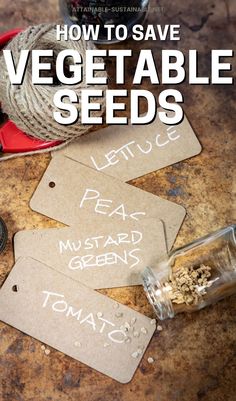 how to save vegetable seeds with labels on them and some type of seed mix in a jar