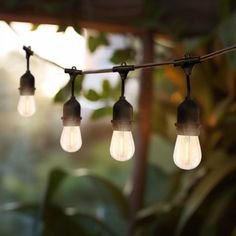 five light bulbs are hanging from a wire in front of some plants and trees with sunlight coming through the leaves