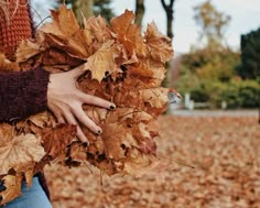 a woman is holding leaves in her hands while walking through the park on a fall day