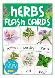 herbs flash cards with pictures of flowers and leaves