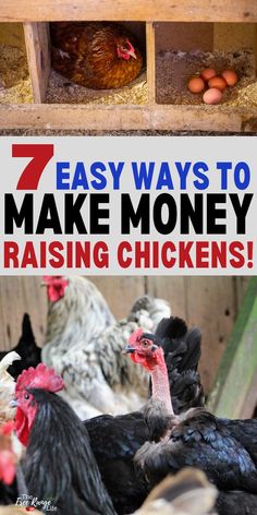 chickens in their coop with text overlay that reads 7 easy ways to make money raising chickens