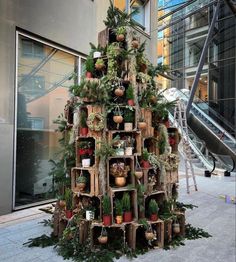 a christmas tree made out of wooden crates filled with plants