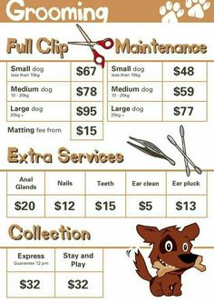 a dog grooming coup sheet with scissors and other items on the table, including an extra