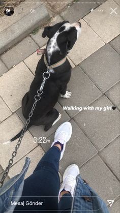 a black dog sitting on top of a sidewalk next to a person wearing white shoes