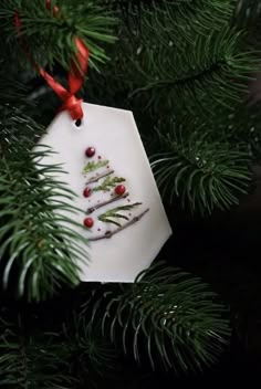 a christmas tree ornament hanging from a pine tree with red ribbon on it