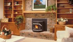 Iron Strike Winslow Traditional Cast-Iron modern Pellet Fireplace Insert Pellet Stove Fireplace Insert, Pellet Stove Insert, Pellet Fireplace Insert, Pellet Fireplace, Iron Burn, Wood Burning Pizza Oven, Pellet Stove Inserts, Room Heater, Brick Paneling