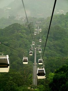 the gondola is high up in the trees