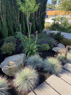 a garden with rocks and plants in it