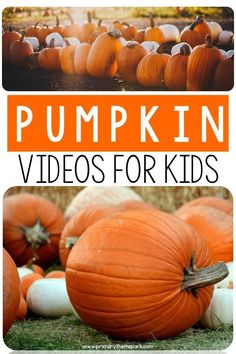 pumpkin videos for kids to use in the fall