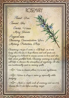 Herbs Book, Wicca Herbs, Book Of Shadows Pages, Grimoire Pages