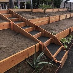 several wooden raised garden beds with plants growing in the middle and dirt on the ground