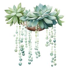 a potted plant with green leaves and beads hanging from it's sides on a white background