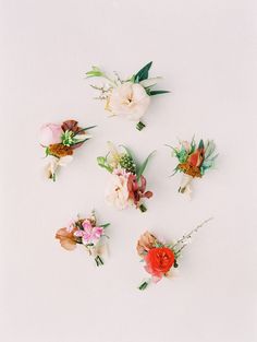 six different flowers arranged on top of each other