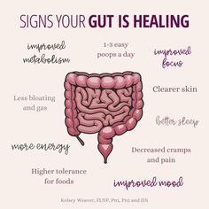 It takes a lot of work to heal the gut! The key is consistency and patience. It took a long time for your gut to be out of balance. So be patient with your body, and continue through strategies that makes sense for your symptoms. You will most likely feel better in some areas, while others may take longer. And that's OK! Adopting a healthy lifestyle that last for the rest of your life is the key to health and longevity. Heal Your Body With Food, Healing Gut Health, Heal The Gut, Gut Health Diet, Gut Healing Recipes, Gut Health Recipes, Healthy Hormones, Feminine Health, Herbs For Health