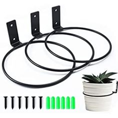 three black metal hooks and four white pots with green plants