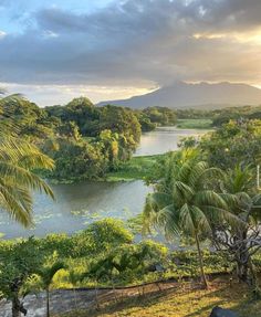 a river surrounded by lush green trees under a cloudy sky