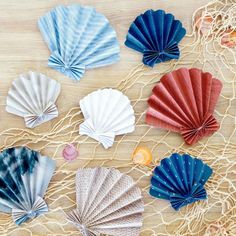 several seashells are laid out on top of a piece of string and rope