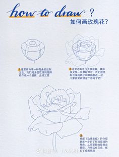 the instructions for how to draw a rose with chinese writing on it, and in english