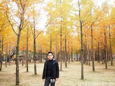 a man standing in the middle of a forest surrounded by trees with yellow leaves on them