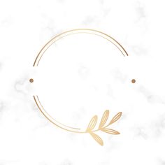 a gold circle frame on a white marble background with an olive branch in the middle