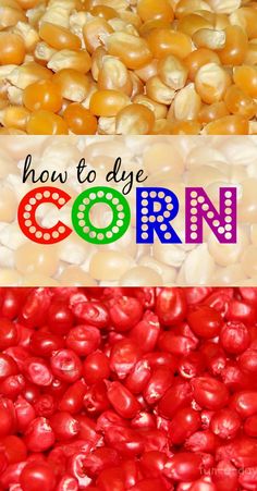 corn with the words how to dye corn on it and an image of corn in different colors