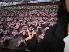 a woman making the peace sign while standing in a greenhouse filled with pink and white flowers