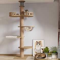 a cat sitting on top of a scratching post in a living room next to a potted plant