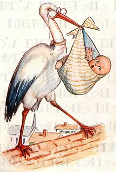 a stork carrying a baby in a bag