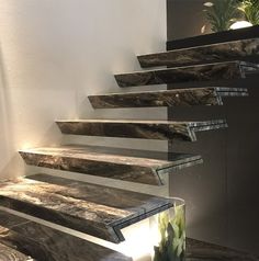 a set of stairs with marble steps leading up to the top and bottom, in front of a potted plant