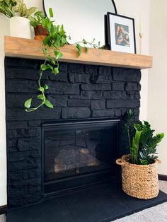 a black fireplace with potted plants on top and a mirror above it in a living room