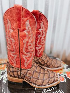 Si te gusta que tus botas sean lo más destacado de tu atuendo, ¡las botas Cigar Matte Bass de Macie Bean son justo lo que necesitas! Los tonos marrones contrastantes de la piel de pirarucu combinados con la rica blusa roja sin duda llamarán la atención tanto dentro como fuera de la arena.



 Eje Sinsation rojo de 12"

 Cigarro mate big bass vamp

 Tacón de cuerda de 1 1/4"

 Punta ancha y cuadrada

 Puntada doble ribete

 Colección de manos superiores

 M2007 Big Bass/Red Sinsation Tin Haul Boots, Green Prom Dress Long, Cowhide Boots, Hand Collection, Cute Cowgirl Boots, Rodeo Boots, Casual Country Outfits, Western Shoes, Southern Outfits