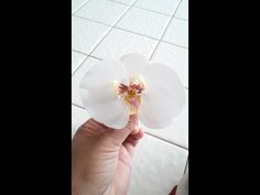 a person holding a white flower with yellow stamen in their left hand on a tiled floor