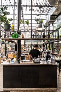 a man working in a greenhouse with lots of potted plants on the ceiling and shelves