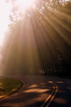 the sun shines brightly through the trees onto a winding road