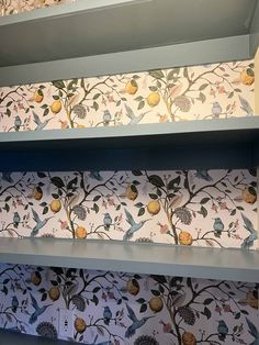 the shelves are decorated with wallpaper and birds