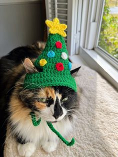 a cat is wearing a crocheted christmas hat