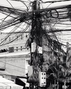 black and white photograph of telephone wires in front of a building with palm trees on the street