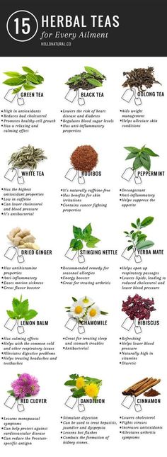 Amazing Herbal Tea Remedies You'll Love | The WHOot Herbs And Their Uses, Tea Remedies, Types Of Herbs, Tea Health Benefits, Resep Diet, Tea Benefits, Herbal Teas, Detox Smoothie, Detox Tea