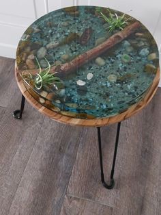 a table with some plants on top of it and rocks in the water under it