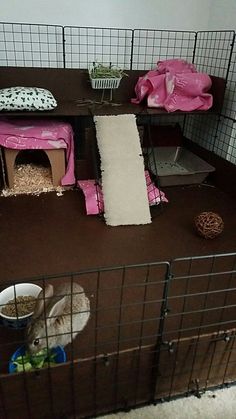 a caged in area with two hamsters and a cat bed on the floor