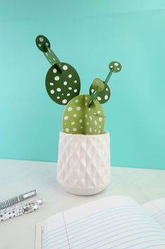 a green cactus in a white vase with polka dots