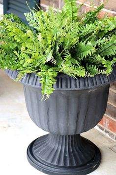 a large potted plant sitting on top of a cement stand next to a brick wall