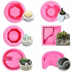 various shapes and sizes of plastic molds with succulent plants in pots on them