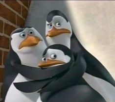 three penguins are standing next to each other