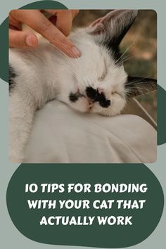 a person petting a cat with the caption 10 tips for bonding with your cat that actually work