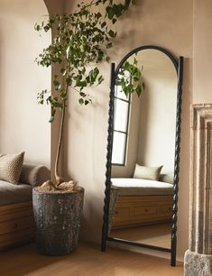 a mirror sitting on top of a wooden floor next to a plant in a pot