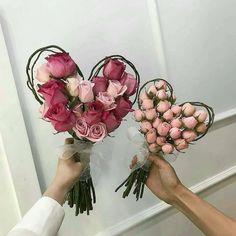 two hands holding pink roses in front of a white wall