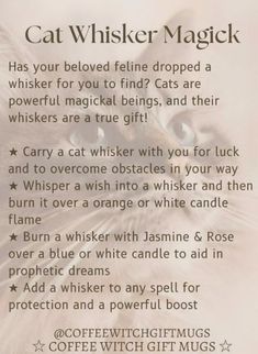 Cat Claws In Witchcraft, Cat Whiskers Witchcraft, Cat Spells, Cat Witchcraft, Feline Energy, Spell Components, Witchcraft Meaning, Mountain Witch, Witch Cats